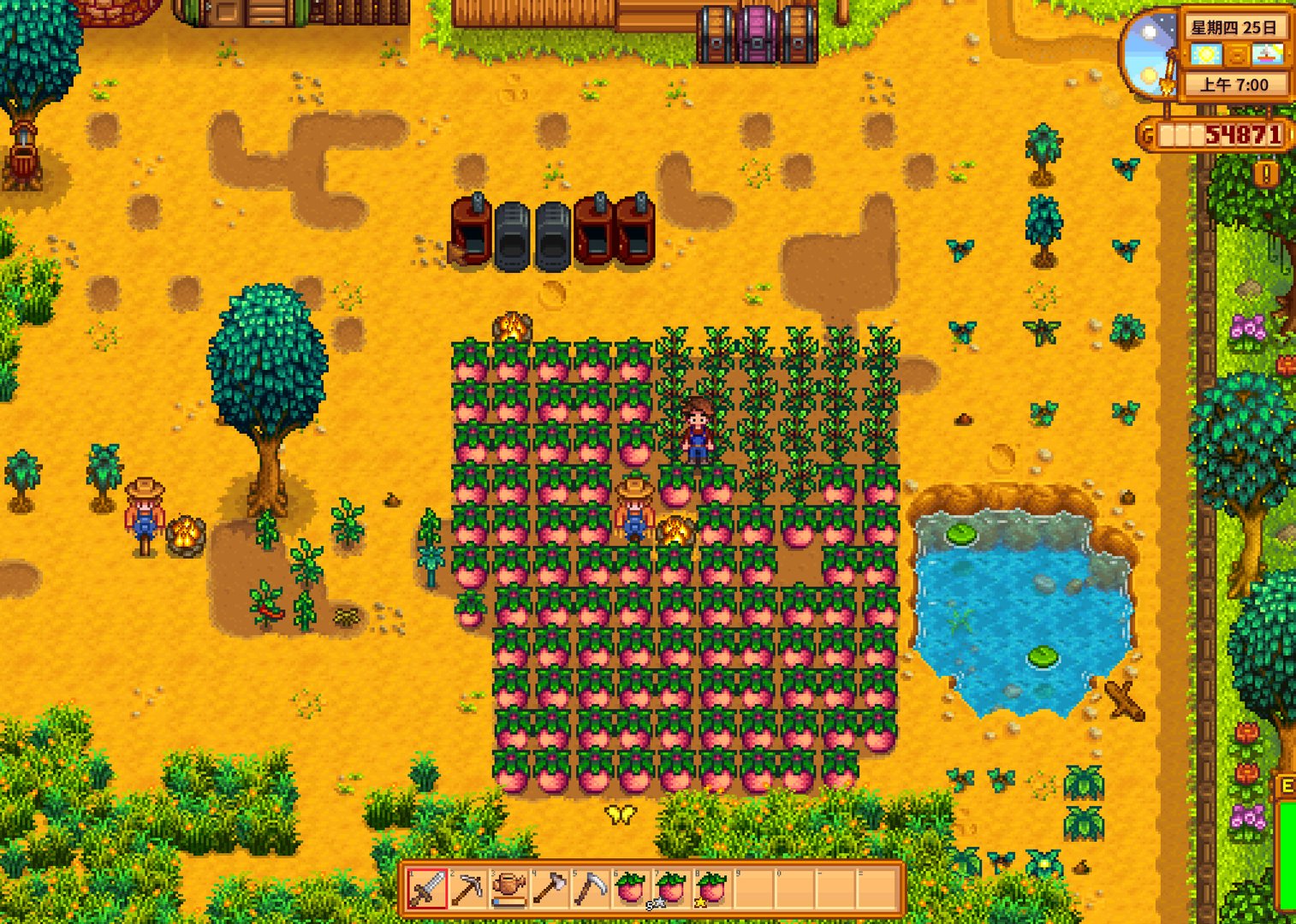 赛博朋克2077 豪华版 截图11